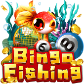 Bingo Fishing on 7spin